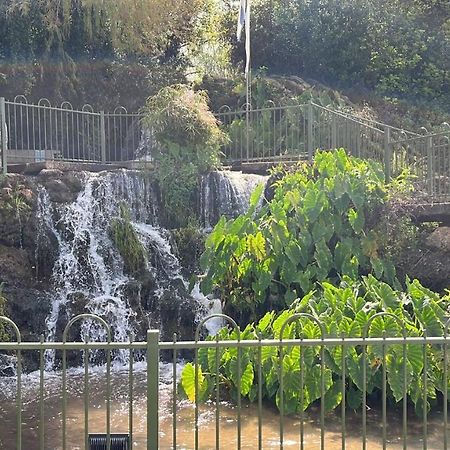 צימר יערת הדבש Hagoshrim Buitenkant foto