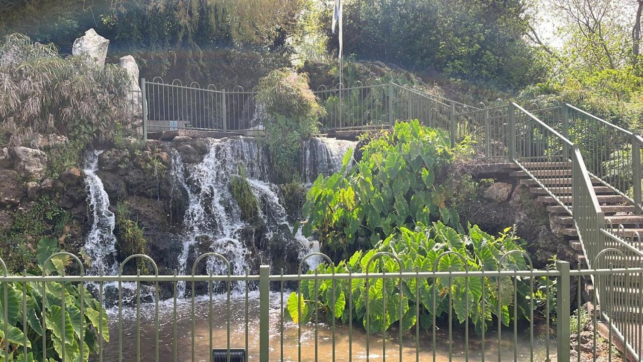 צימר יערת הדבש Hagoshrim Buitenkant foto